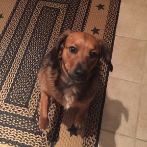 Meet your Posher, Dana